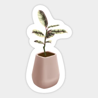 Ficus Tineke Sticker